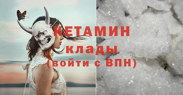 прущие грибы Приозерск