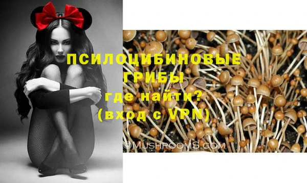 кокаин Алексин