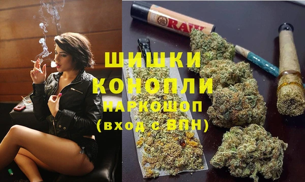 прущие грибы Приозерск