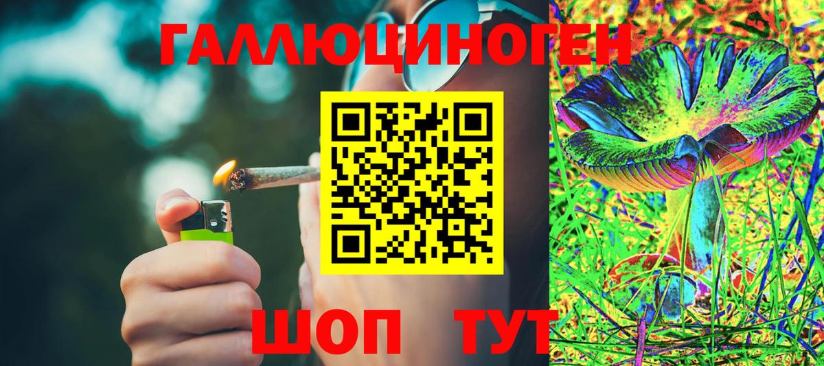Галлюциногенные грибы прущие грибы Зеленогорск