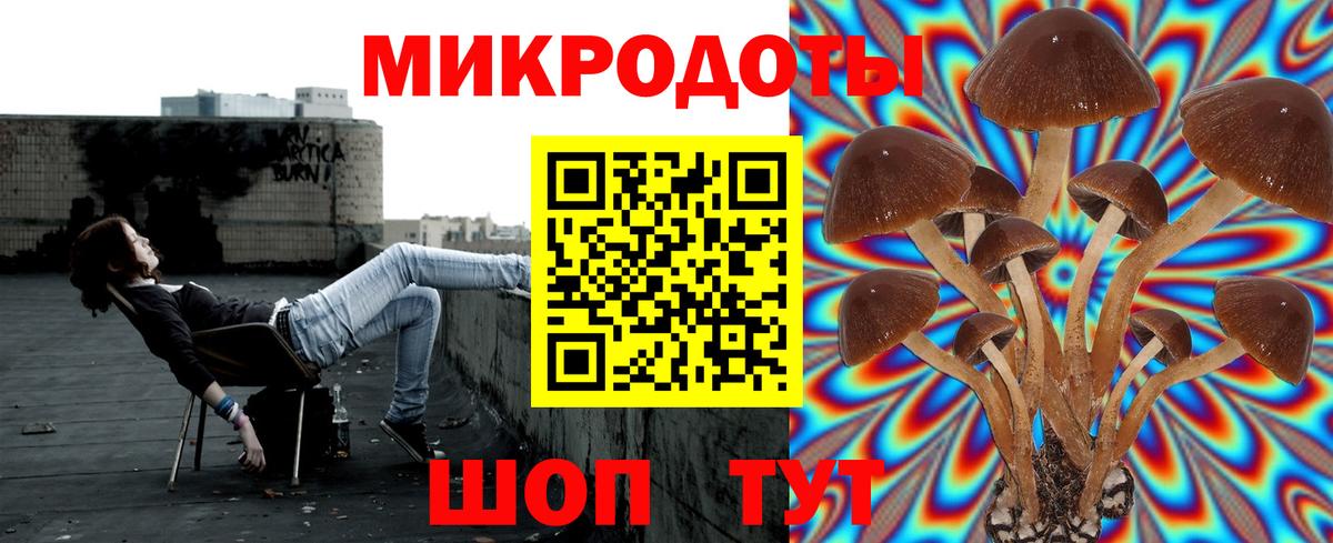 Зеленогорск  Галлюциногенные грибы Magic Shrooms  Вход с VPN 