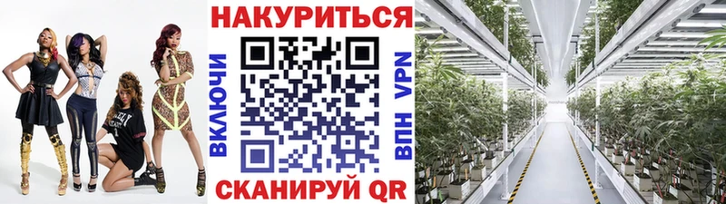 Бошки Шишки SATIVA & INDICA  Зеленогорск 
