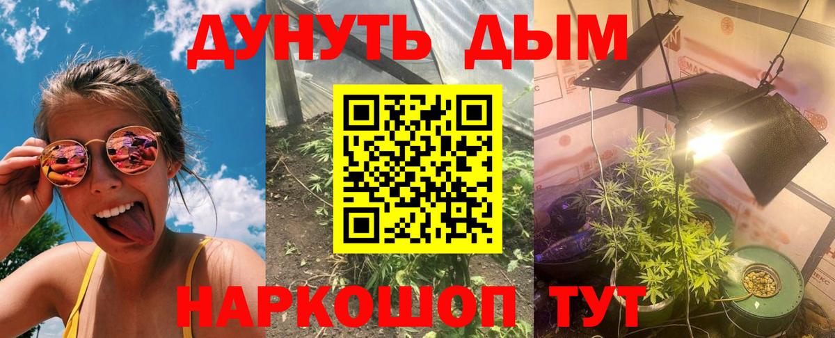 Каннабис ГИДРОПОН Зеленогорск